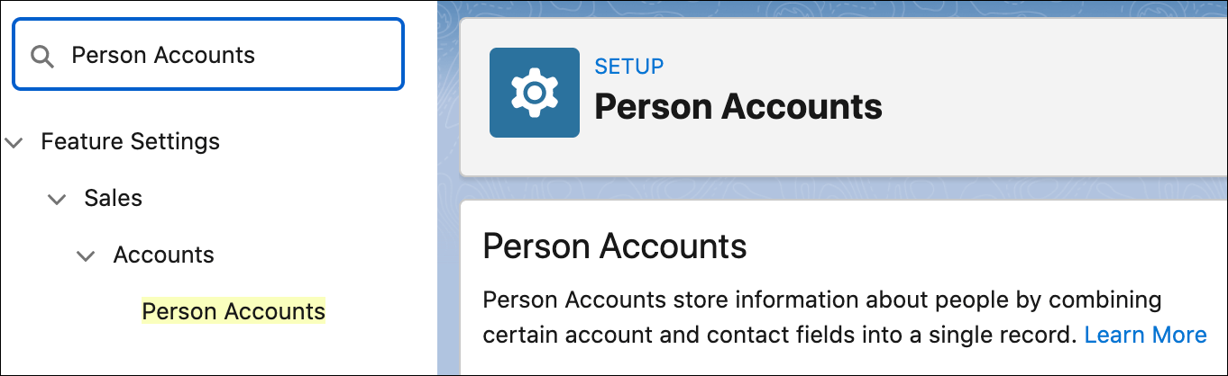 Enable Person Accounts Without Contacting Salesforce Support: Sales Cloud Summer Release 2022
