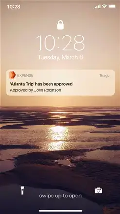 Expense App Notification