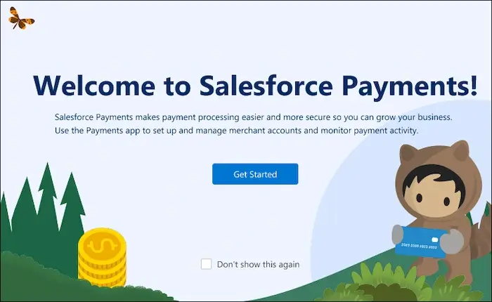 Integrated payment solutions for salesforce summer commerce
