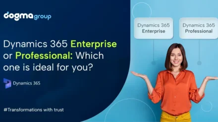 Choosing Between Dynamics 365 Enterprise and Professional