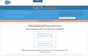 Salesforce Winter 26 Release Timeline
